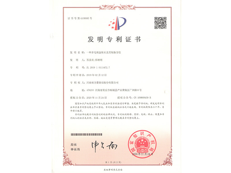 Chứng chỉ bằng sáng chế - Một loại kim cương có nhiều gai và phương pháp chế tạo Chứng chỉ bằng sáng chế - Một loại kim cương có nhiều gai và phương pháp chế tạo