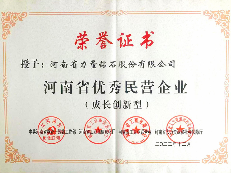 Doanh nghiệp tư nhân xuất sắc tỉnh Hà Nam Doanh nghiệp tư nhân xuất sắc tỉnh Hà Nam